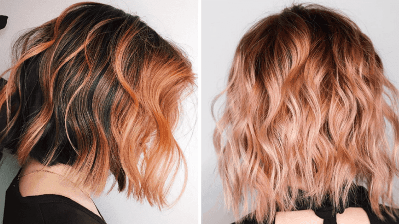 Sunset Coral