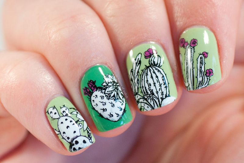 Cactus Cutie
