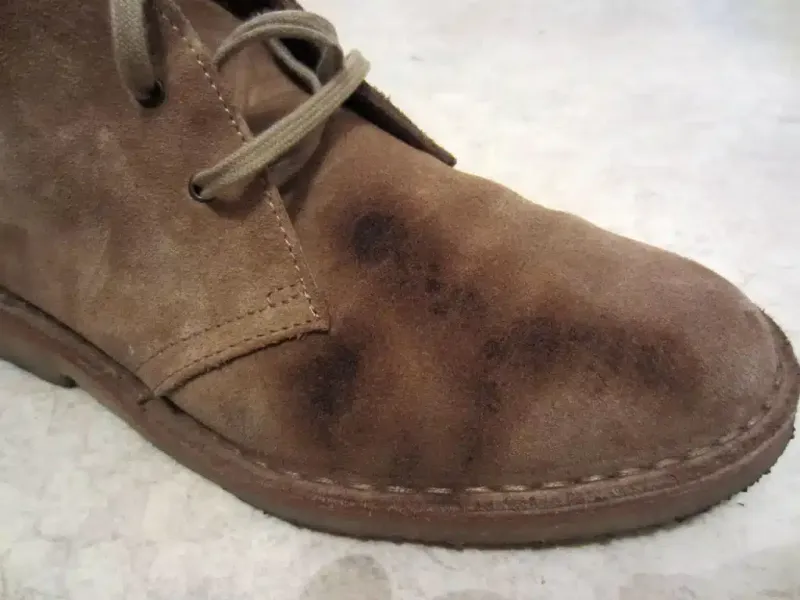 Never Pack: Suede Anything