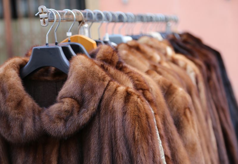 Fur Coats and Stoles