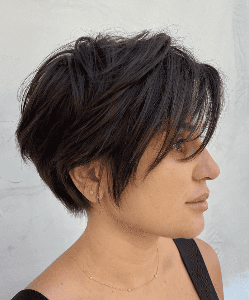 Bixie (Bob-Pixie Hybrid)