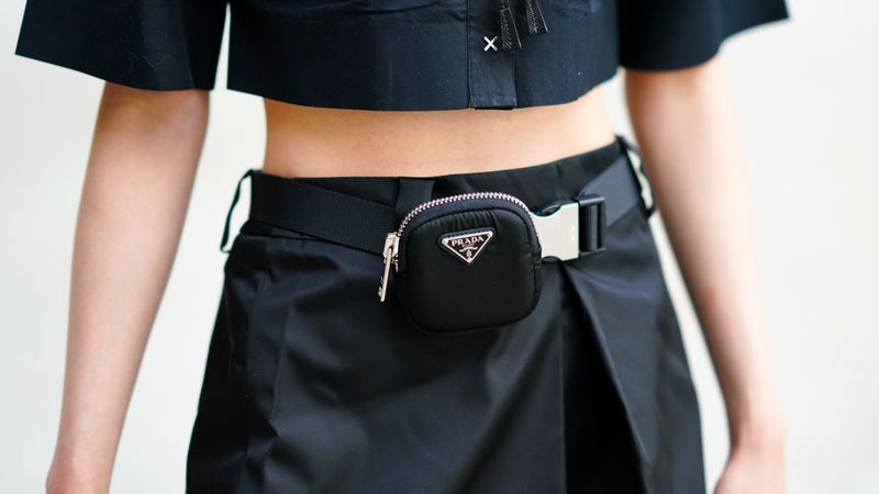 Fanny Packs Strapping Back