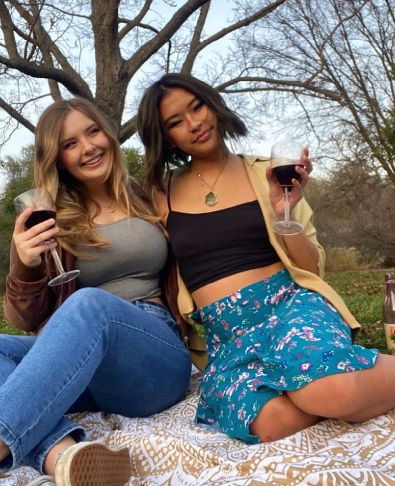 Picnic Perfect Solution