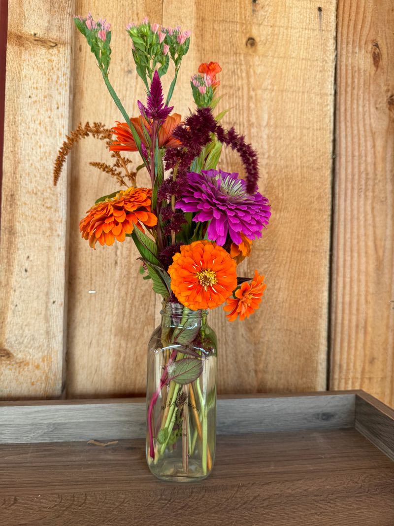 Wildflower Meadow Mix