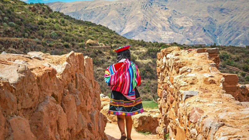 Eclectic Explorer