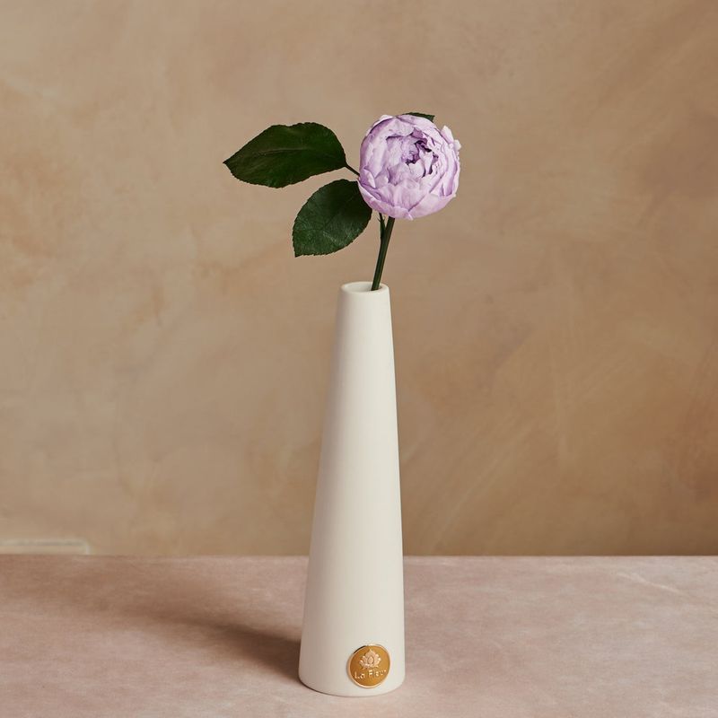 Single Statement Stem