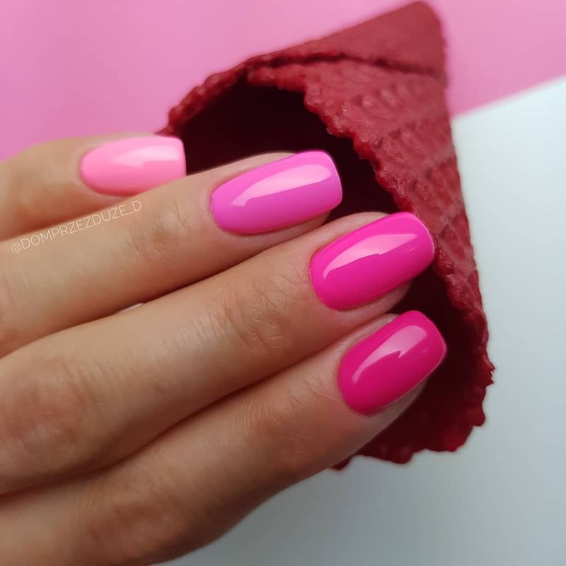 Fuchsia Fever