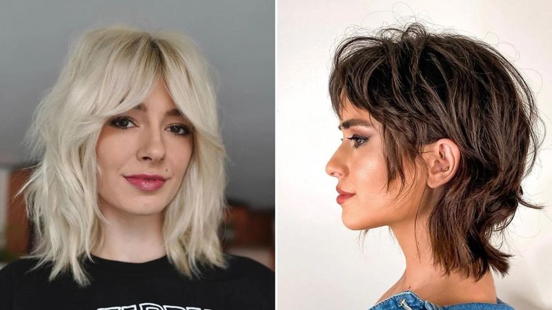 The Wolf Cut Wonder