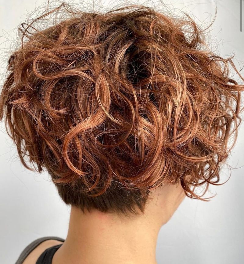 The Curly Texture Celebration