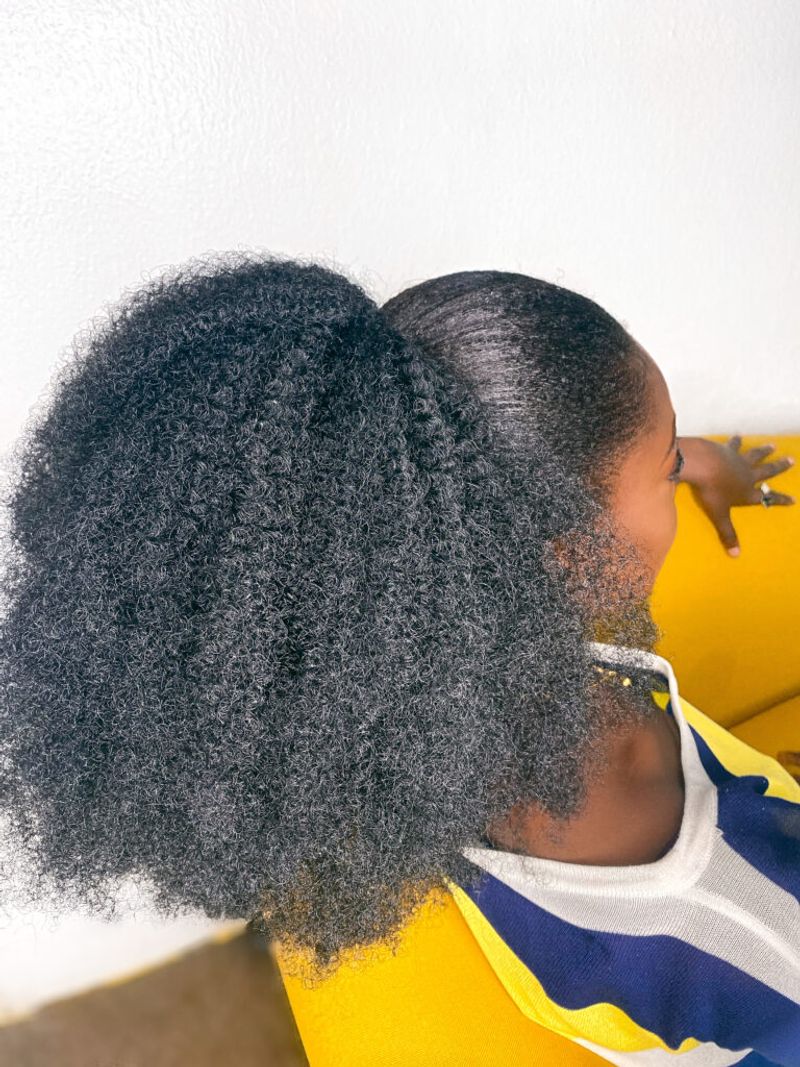 The Puffy Ponytail