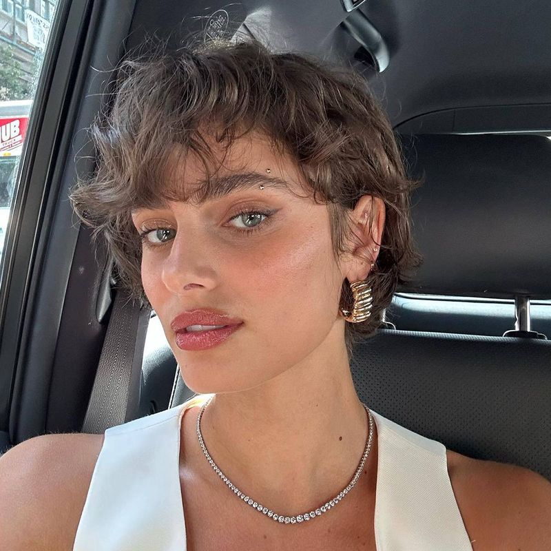The Pixie Bob Hybrid