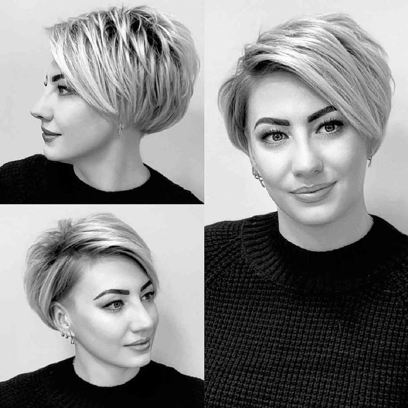 Il Pixie Bob