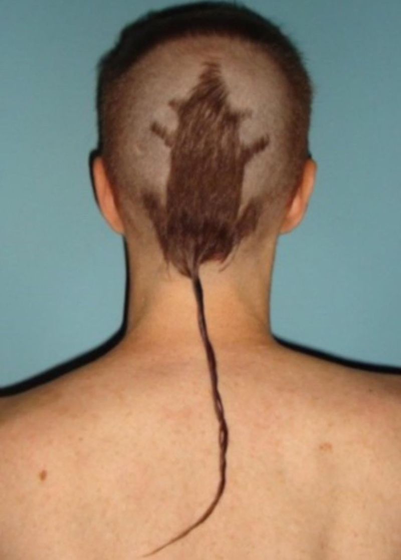 The Rat Tail Regret