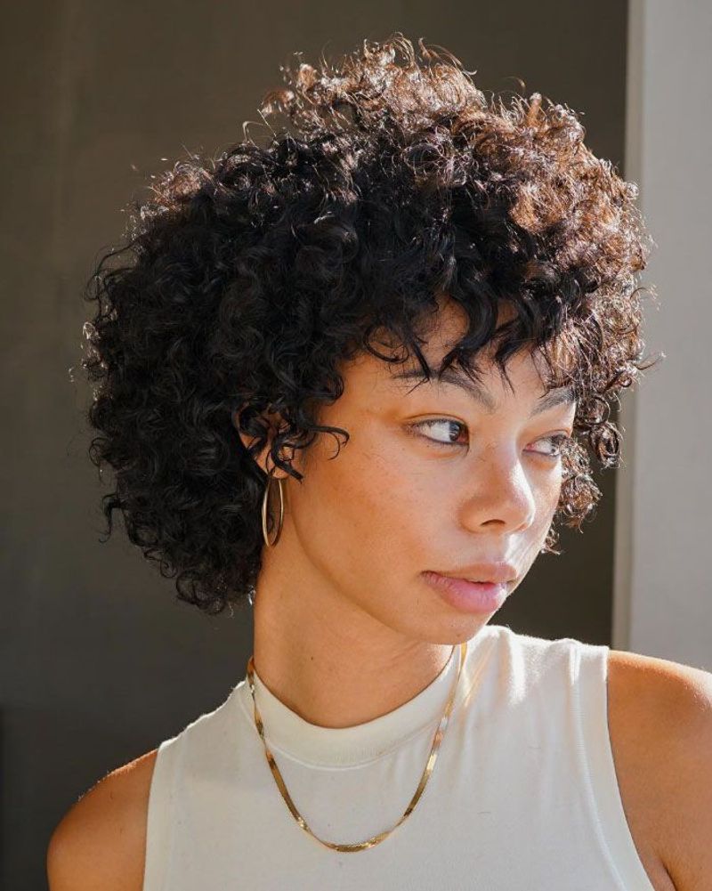 The Curly Crop
