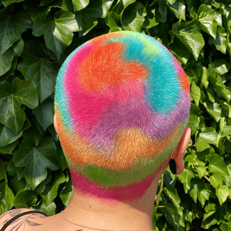 The Rainbow Rebel