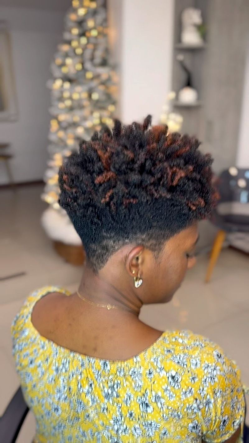Coily Tapered Cut