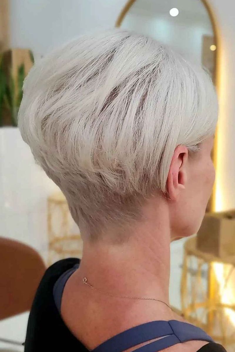 Pixie Bob impilato
