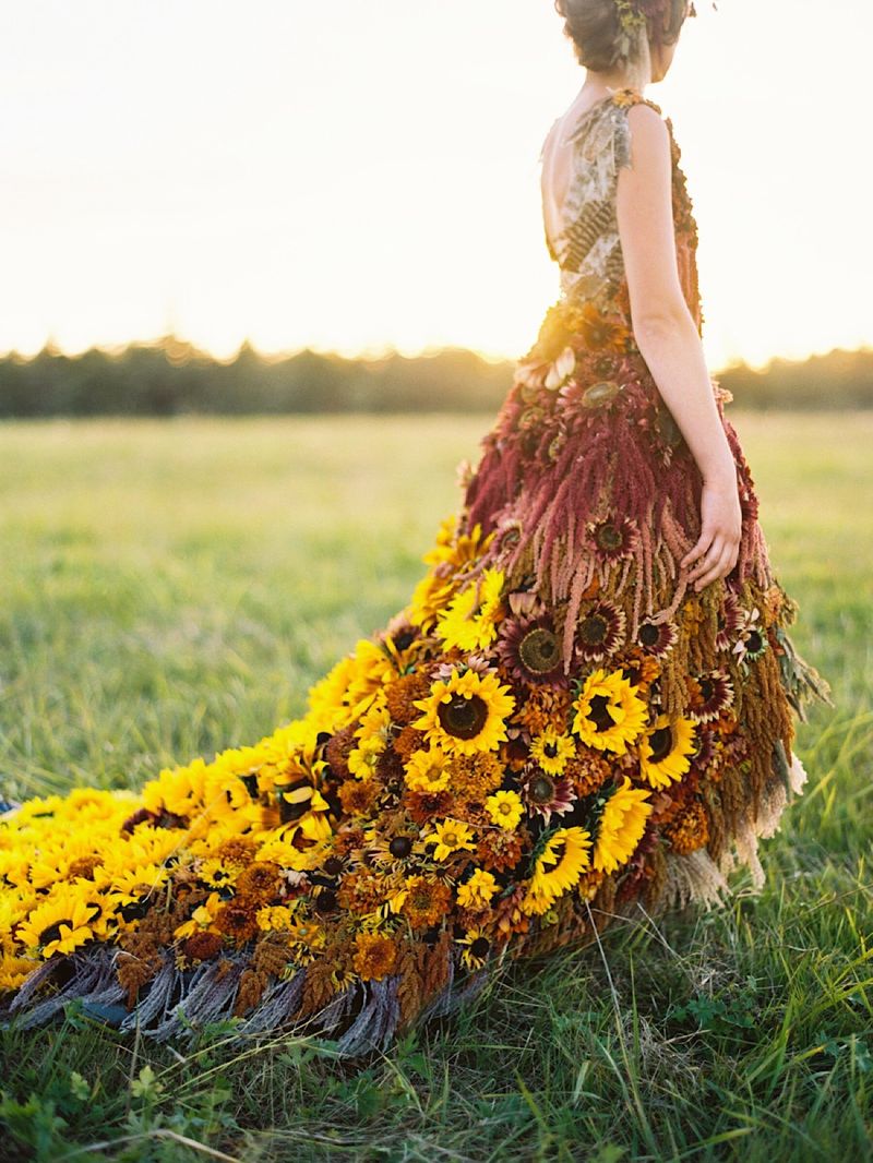 Golden Sunflower Rhapsody