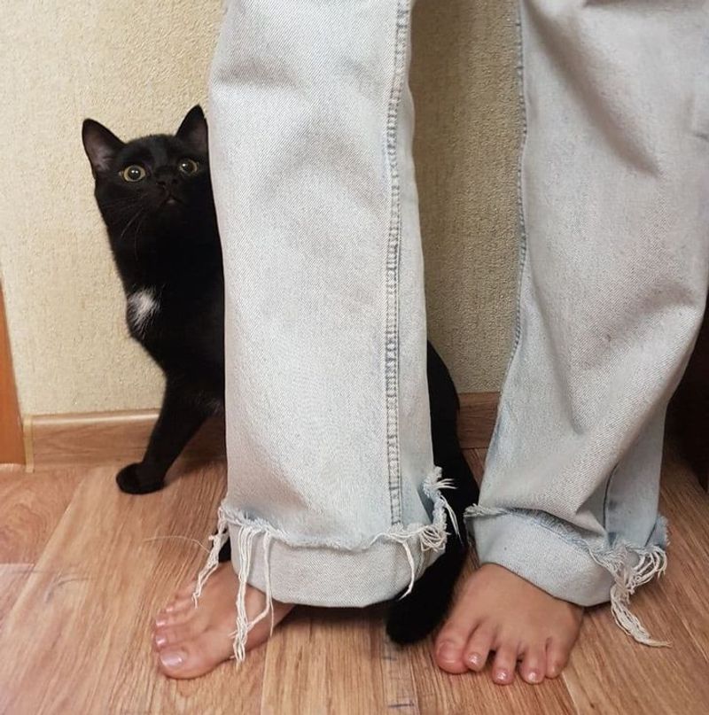 Pants That Puddle At Your Ankles