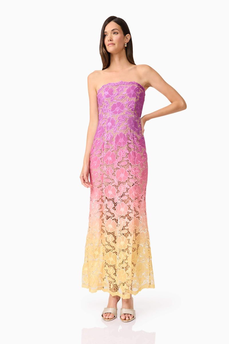 Ombre Flower Fantasia