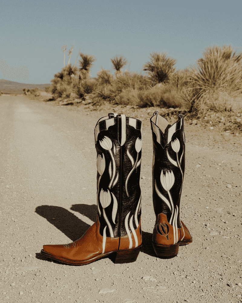Desert Dreaming