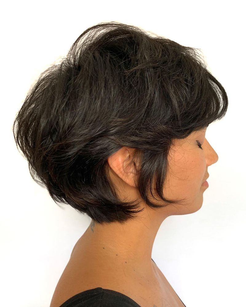 Pixie Bob desconectado