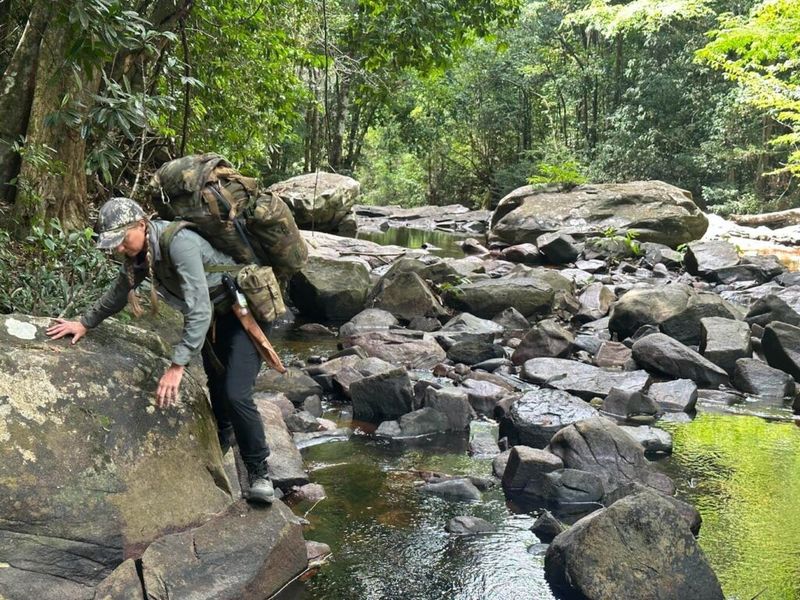 Tropical Trek