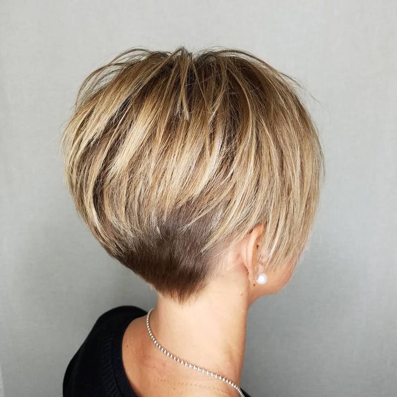 Tapered Pixie-Bob Hybrid