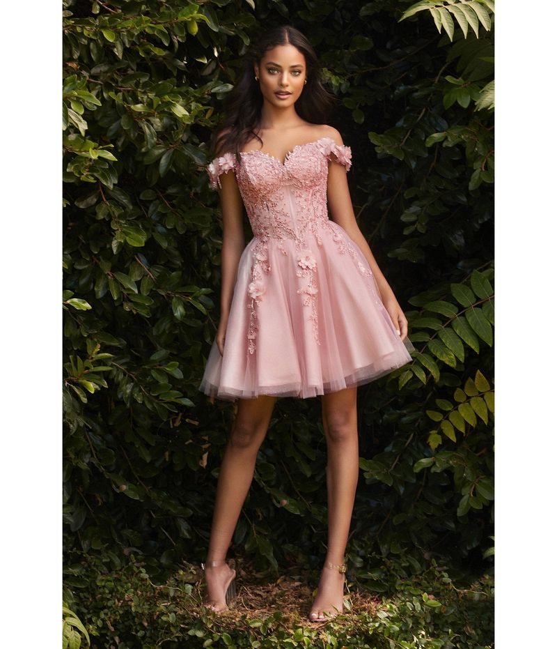 Blush Lace Whisper