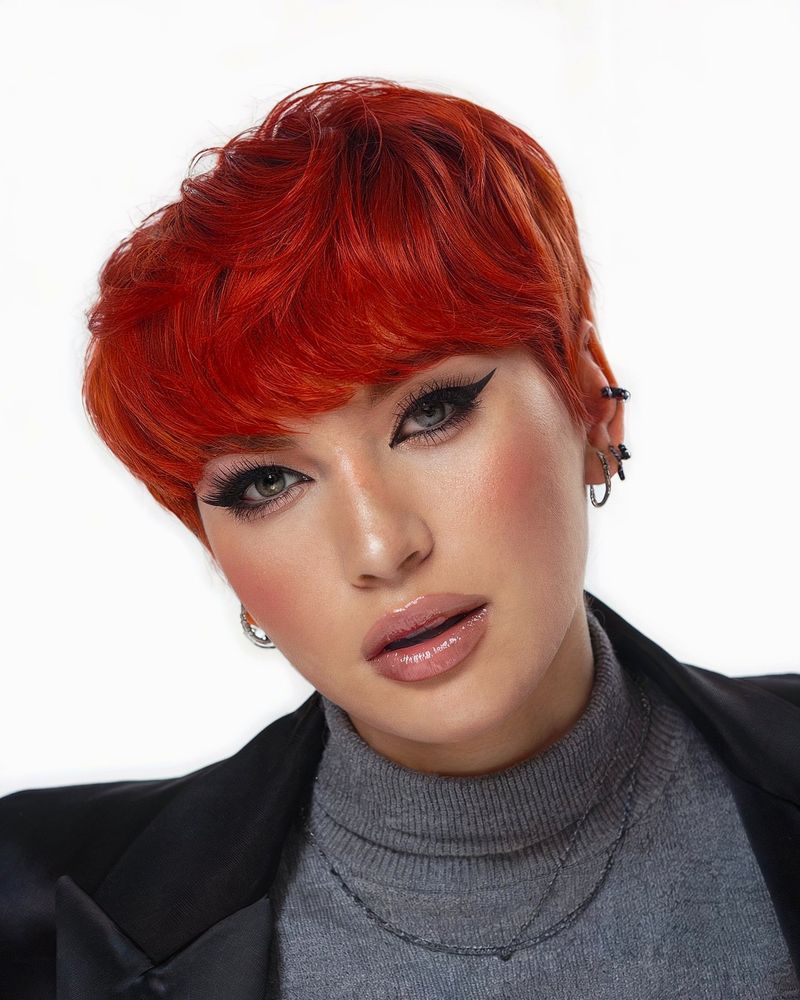 Pixie Bob de colores atrevidos