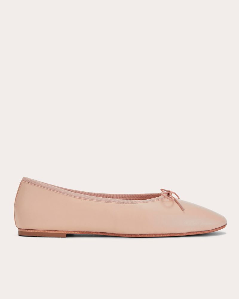 Everlane The Day Ballet Flat