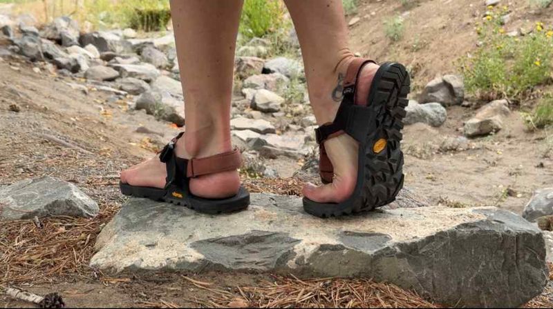 Mountain Trek Champs
