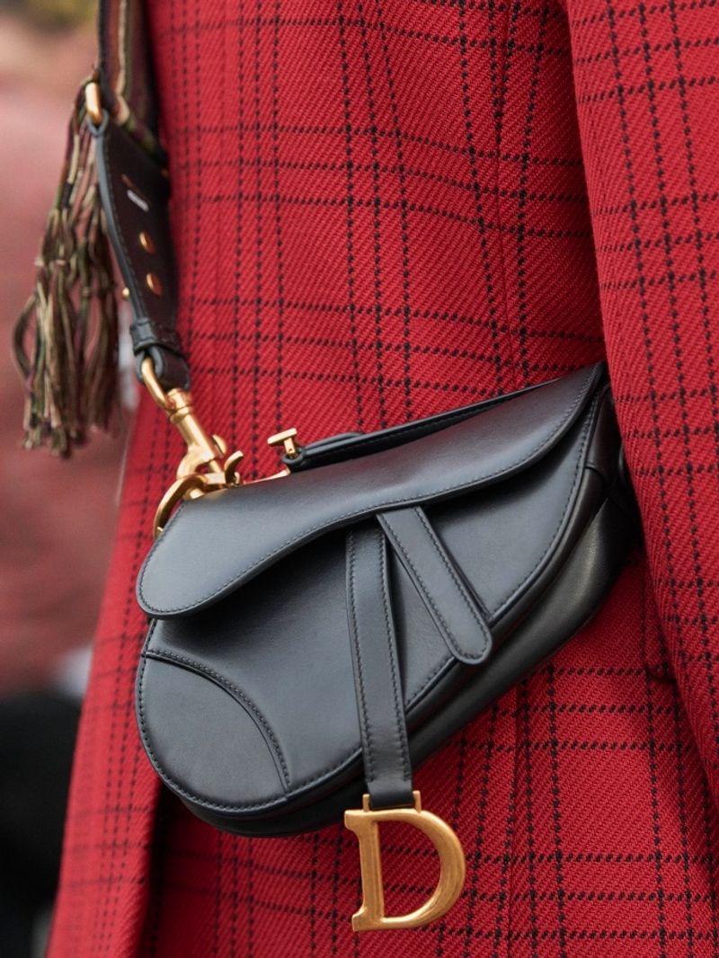 Dior Saddle Bag