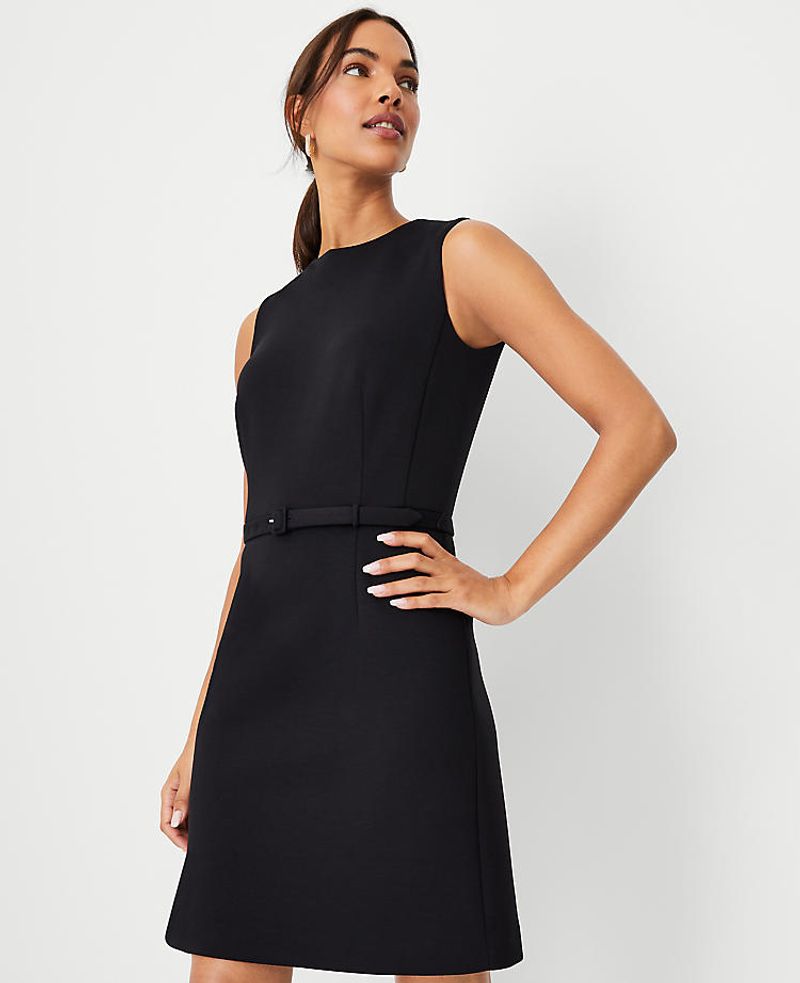 Timeless Black Beauty
