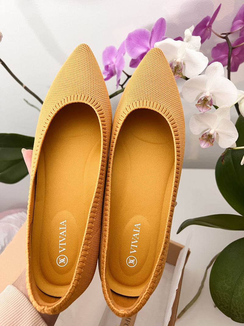 Vivaia Pointed Toe Flats