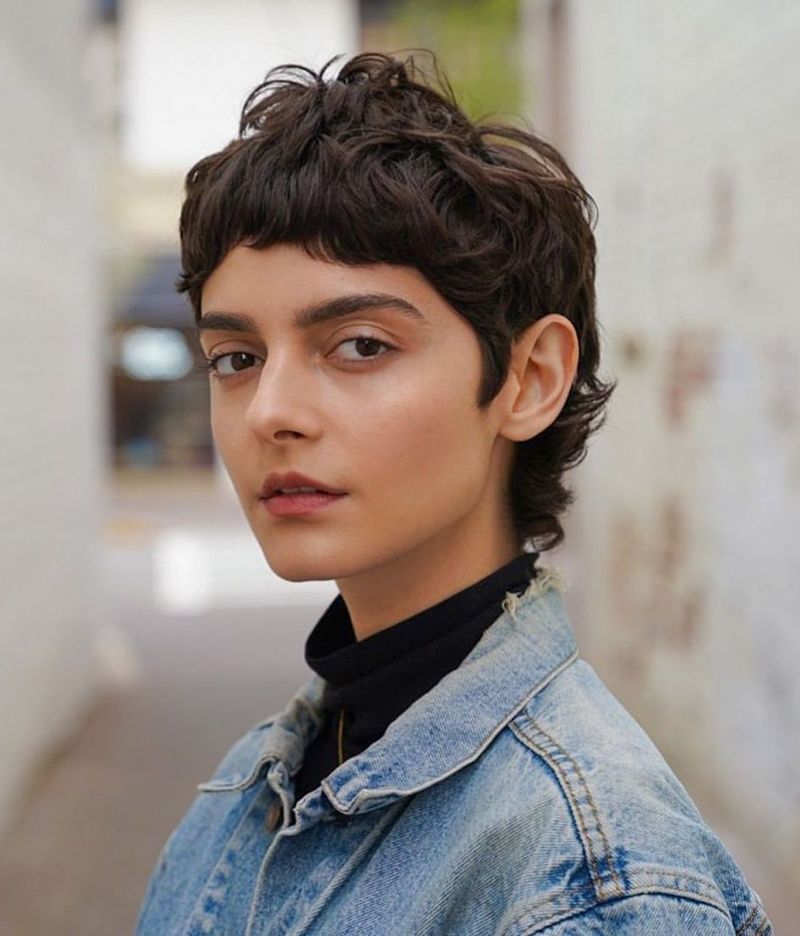 Frangia corta
