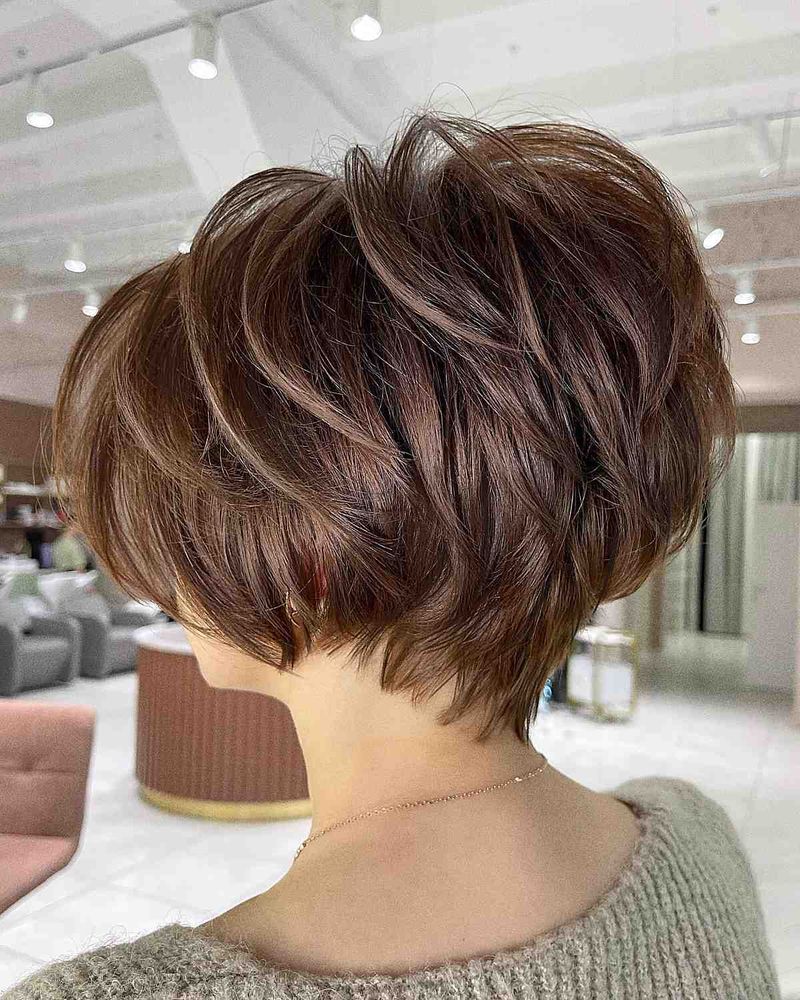Pixie-Bob Hybrid