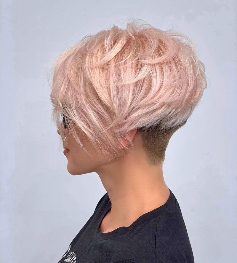 Il Pixie Bob Fusion
