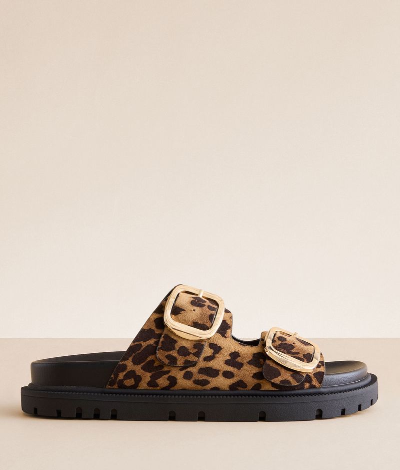Safari Scout