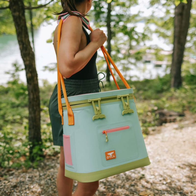 Picnic-Perfect Insulated Carryall