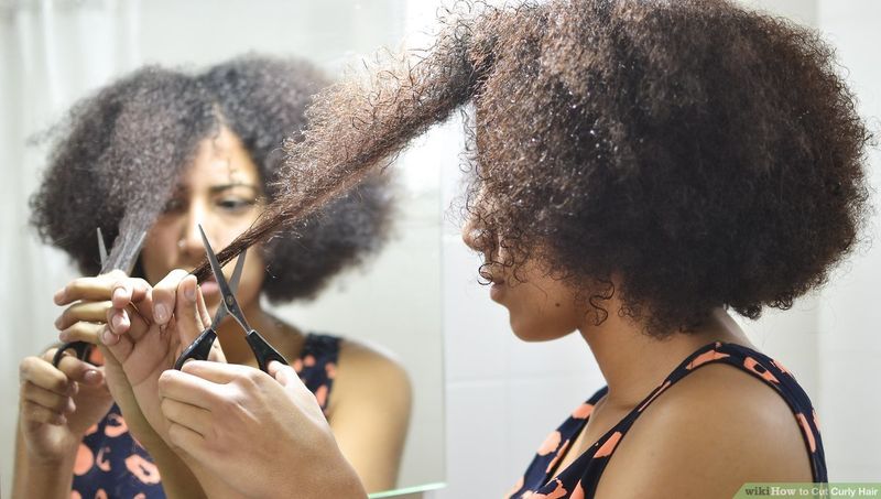 Haircuts With Regular Scissors: The Frizz Multiplier