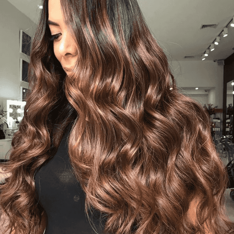 Bronzed Chestnut