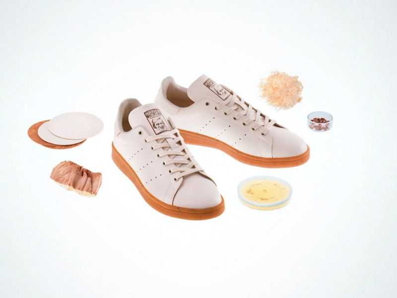 Biodegradable Sneakers