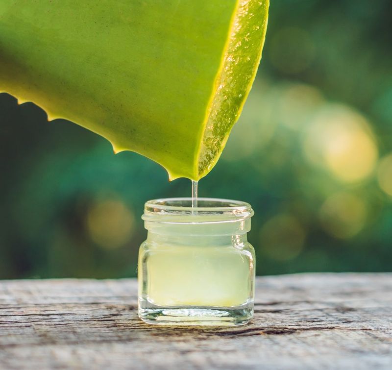 Aloe Vera Gel As Emergency Frizz Control