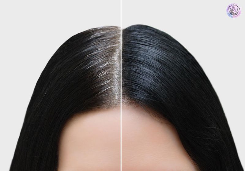 COLOR FAIL #1: Jet Black Box Dye