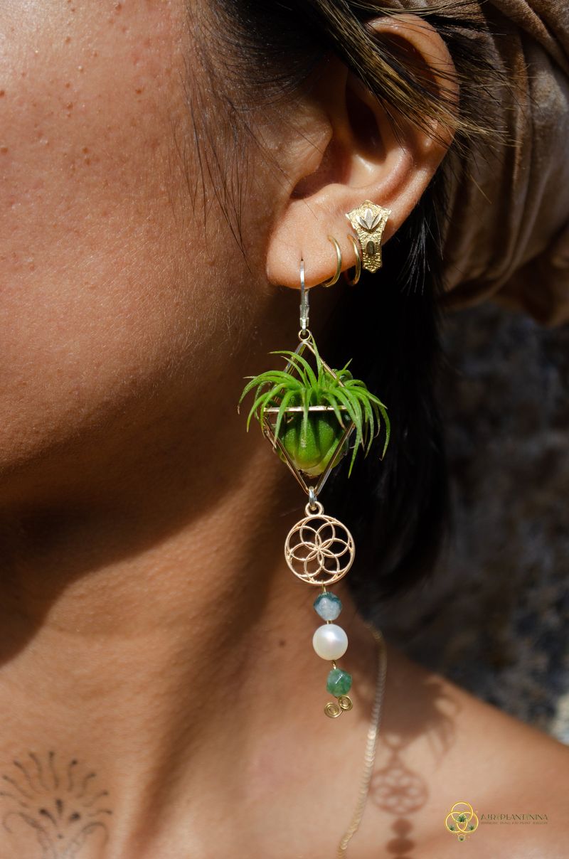 Living Jewelry