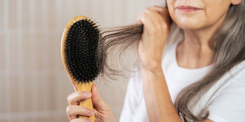 Choosing The Right Brush Type