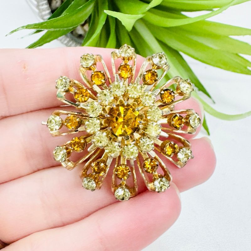 Vintage Brooches