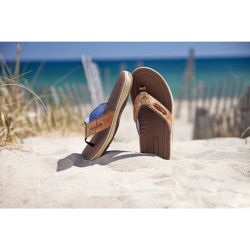 Sperry Baitfish - Nautical Adventure Companions