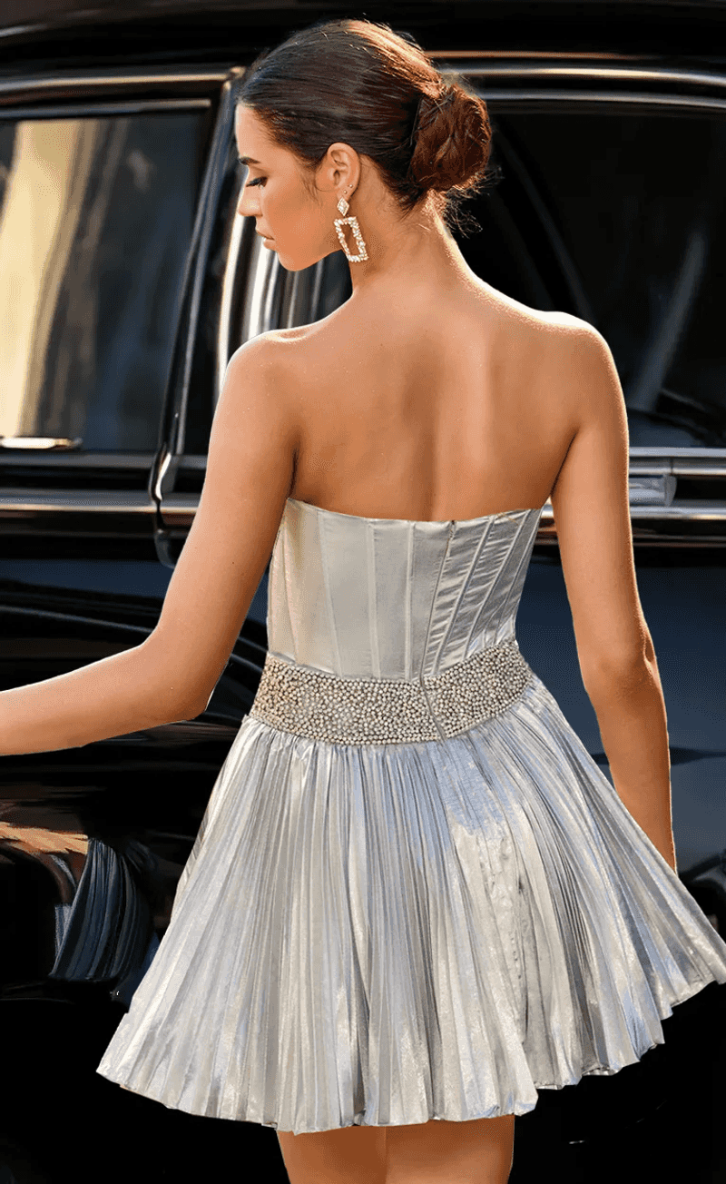 Metallic Pleated Accordion